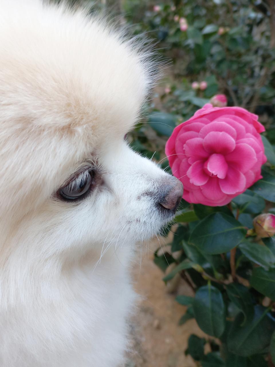 판매완료