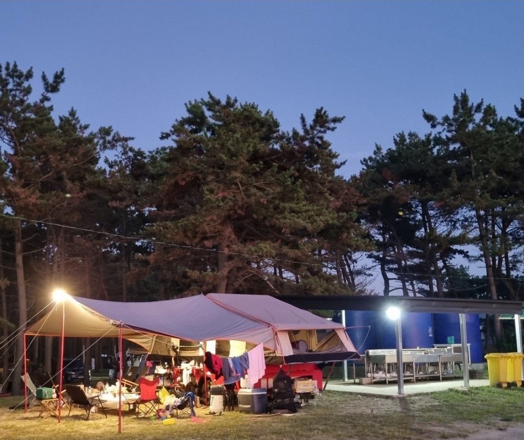신화t7 투폴딩 텐트트레일러 판매합니다