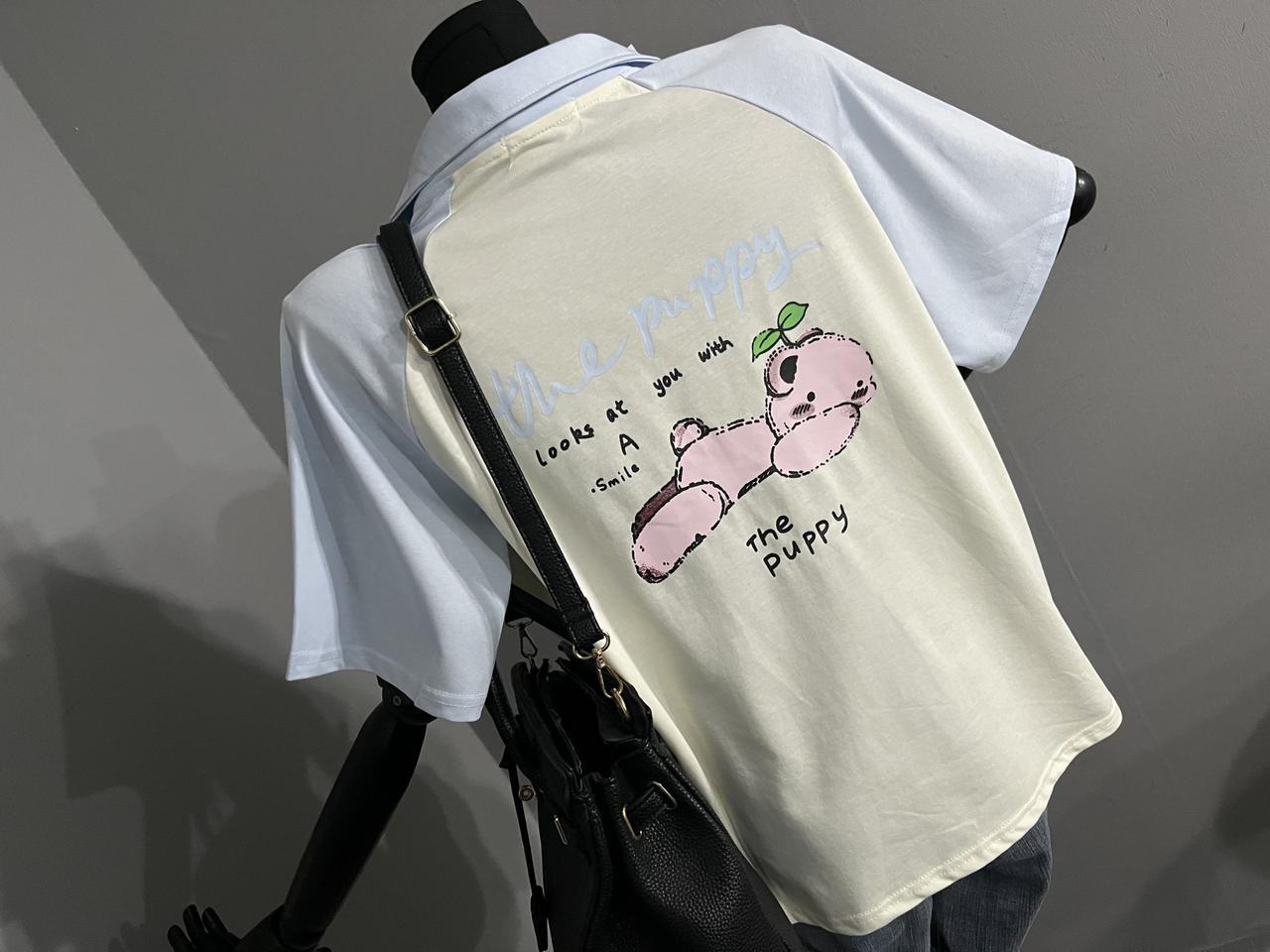 퍼피PK티셔츠/배색카라반팔티셔츠/카라티