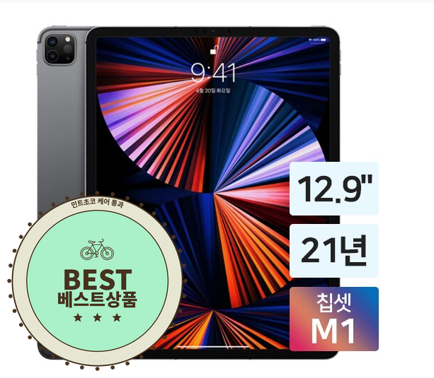 아이패드 프로 12.9 5세대 256GB Wi-Fi