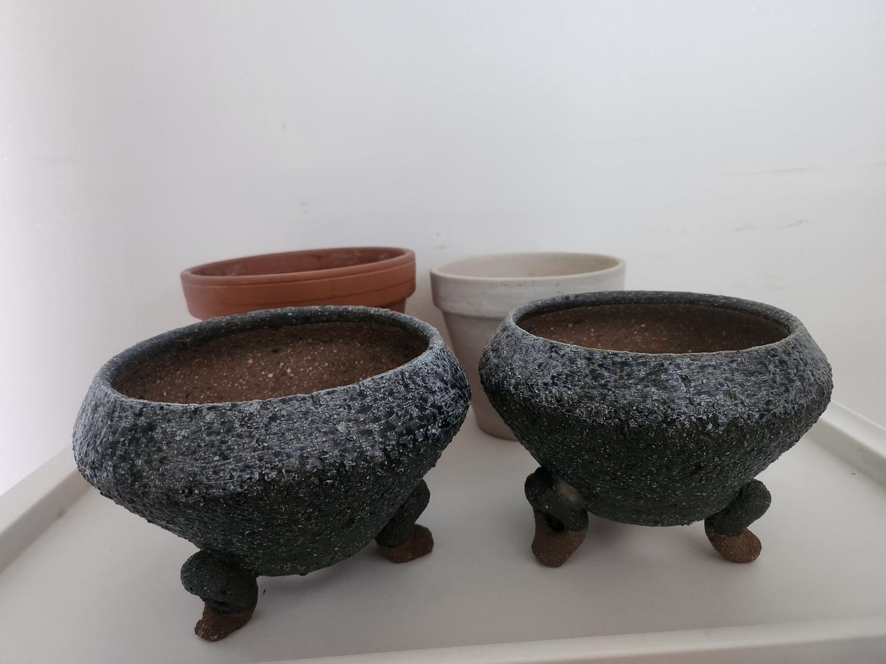 덤)화분4개