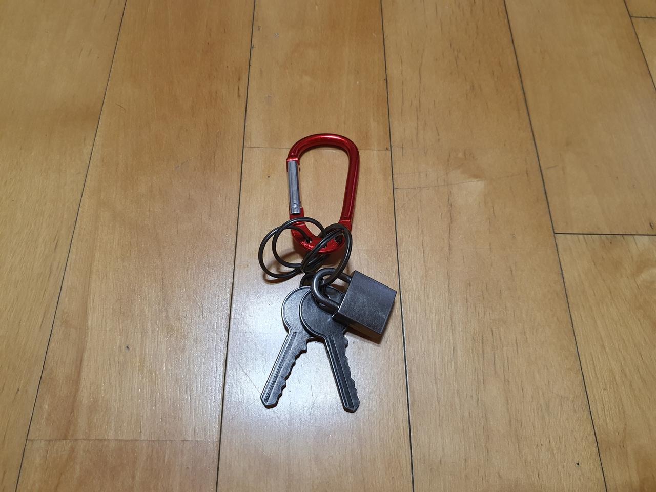 자라 키링