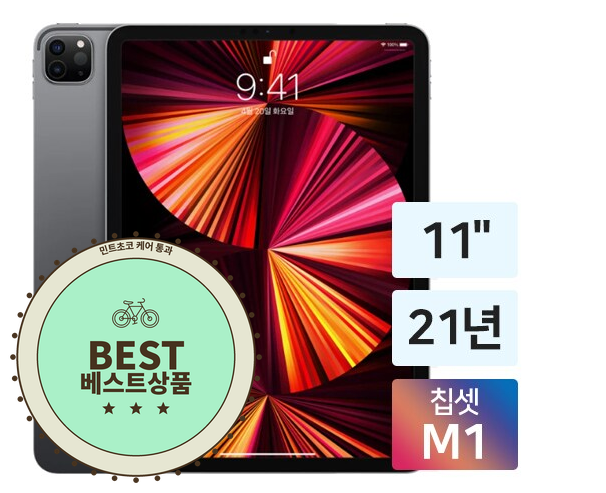 아이패드 프로 11인치 M1 256GB 스그 펜슬 포함