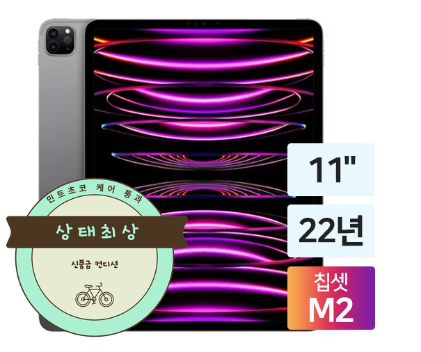 아이패드 프로 11 M2 256GB 스그 펜슬 포함
