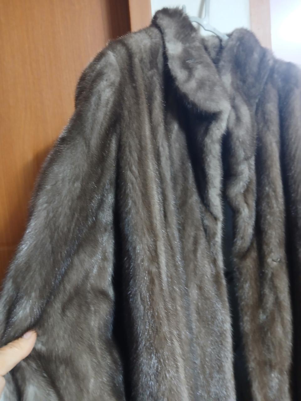 진도밍크