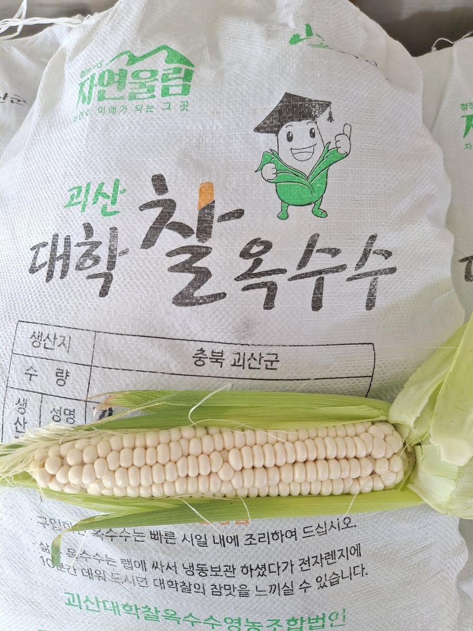 오리지날 괴산 대학찰옥수수1자루30개 16,000원※무료배송까지 입니다