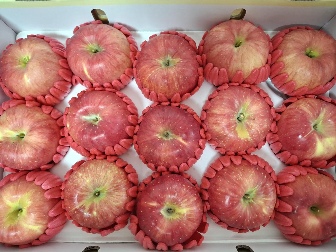 추석 햇 사과4.5kg14과 무료배송입니다