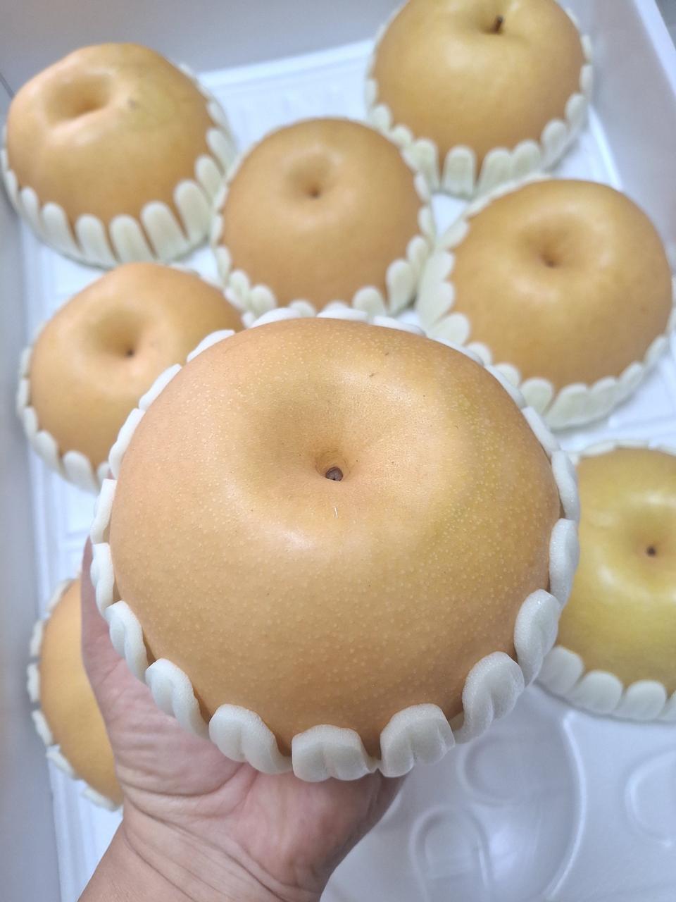 추석 선물용 햇 배 7.5kg 8~10과 무료배송