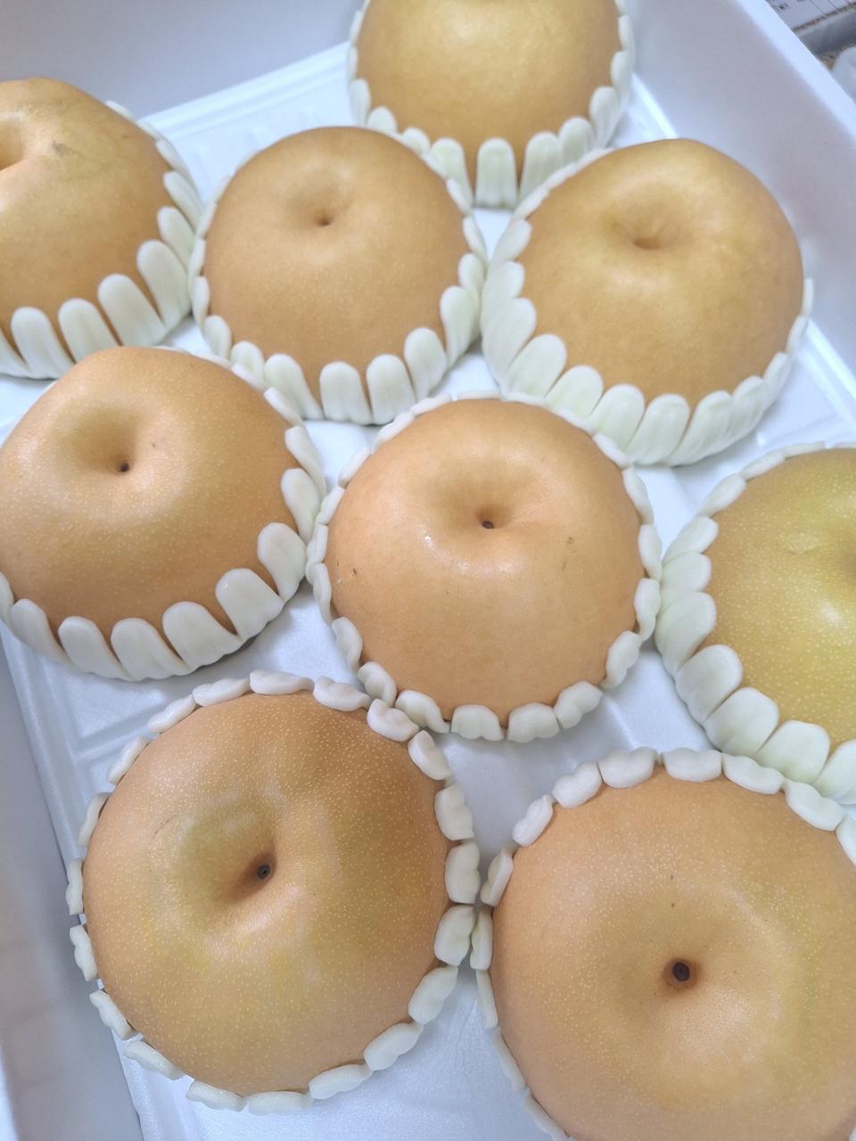 추석 선물용 햇 배 7.5kg 11~12과 무료배송