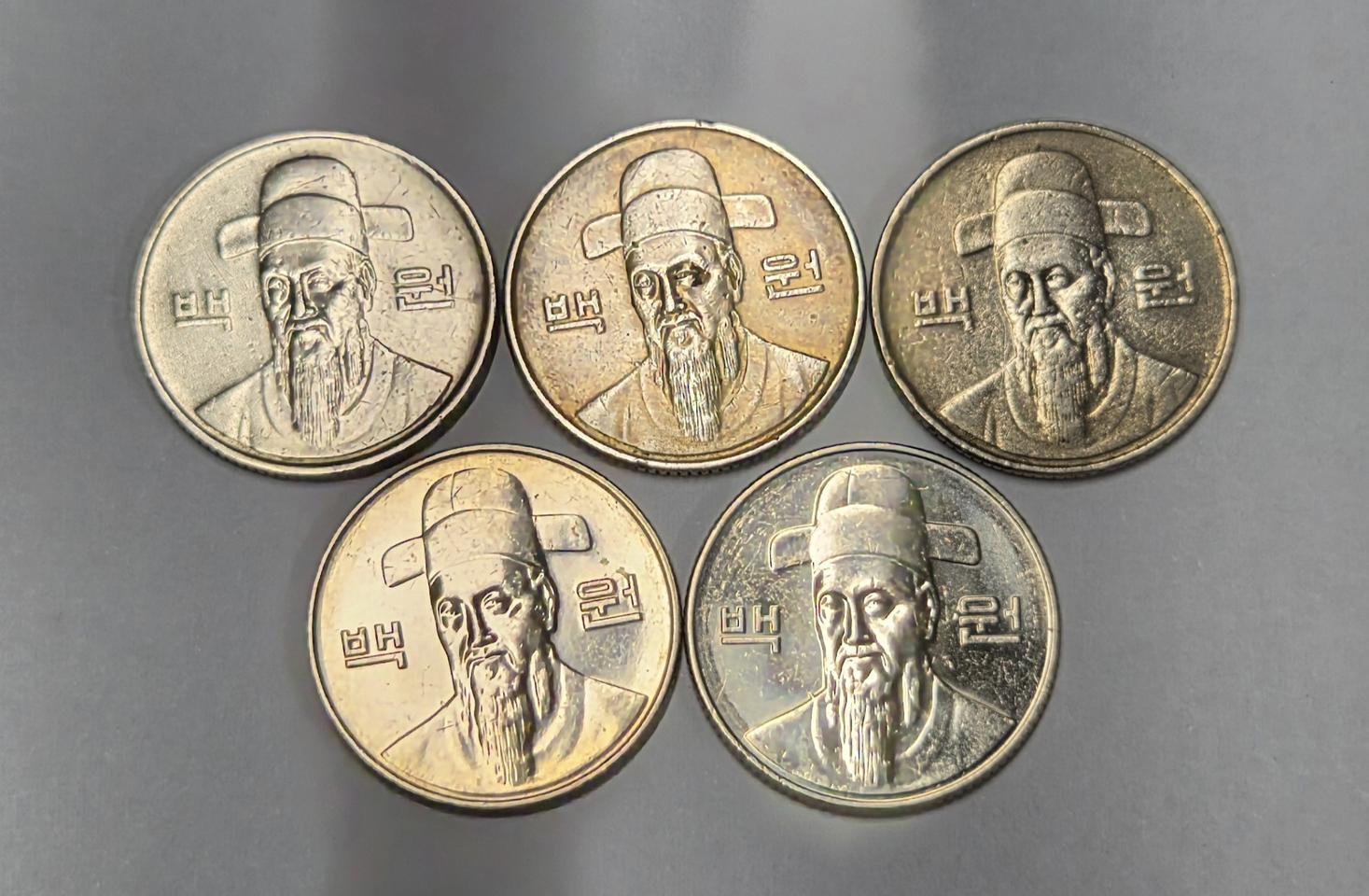 변색주 100주 포함 5개 일괄