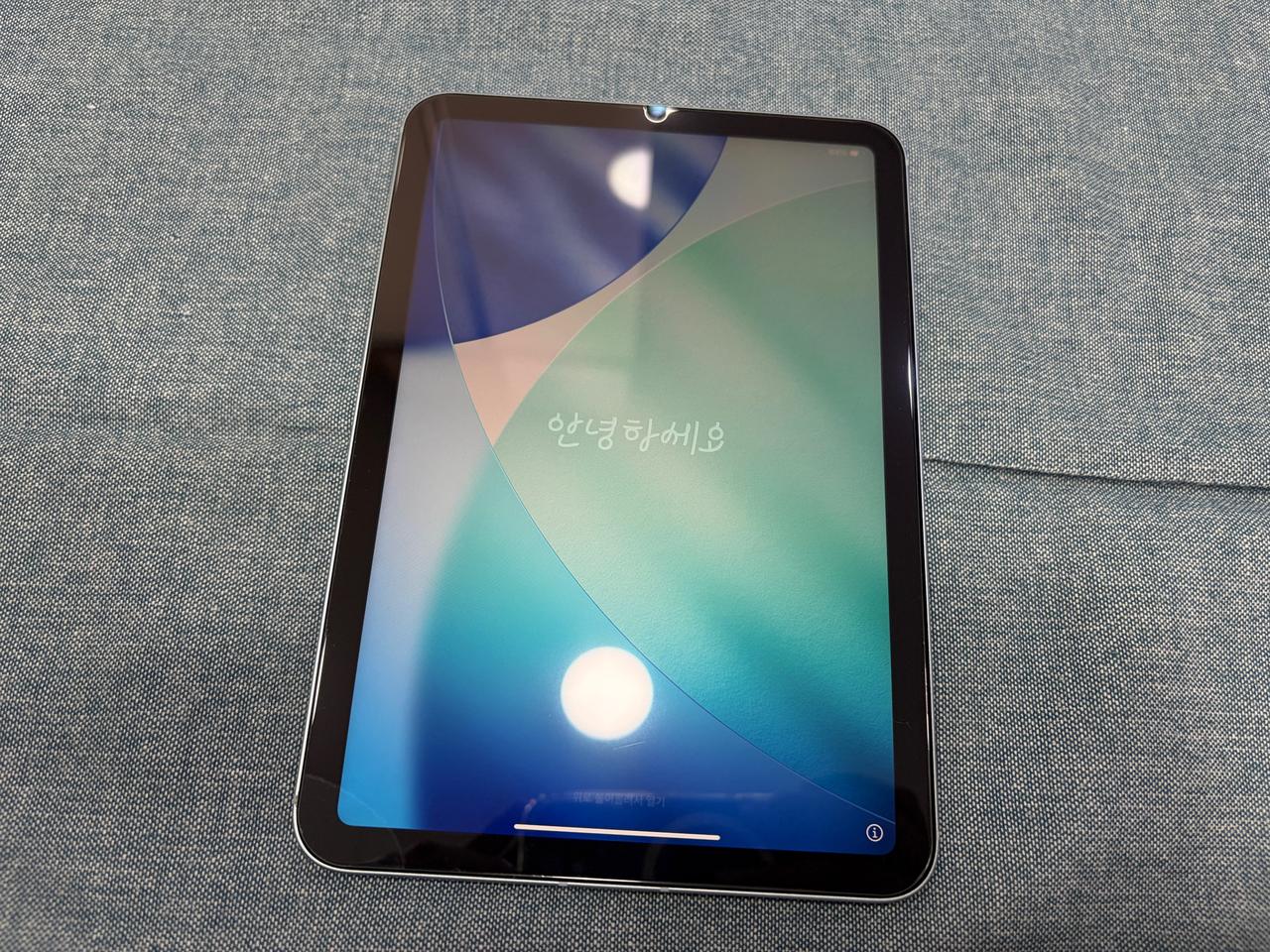 아이패드 미니 7세대 A17 Pro 256GB 셀룰러 판매합니다.