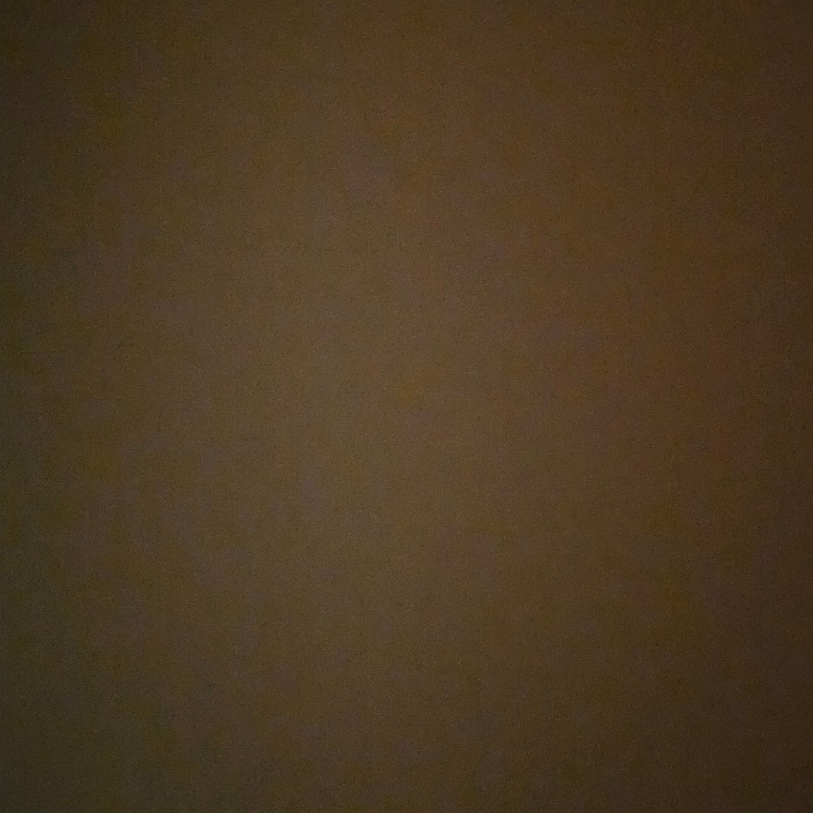 profileImg