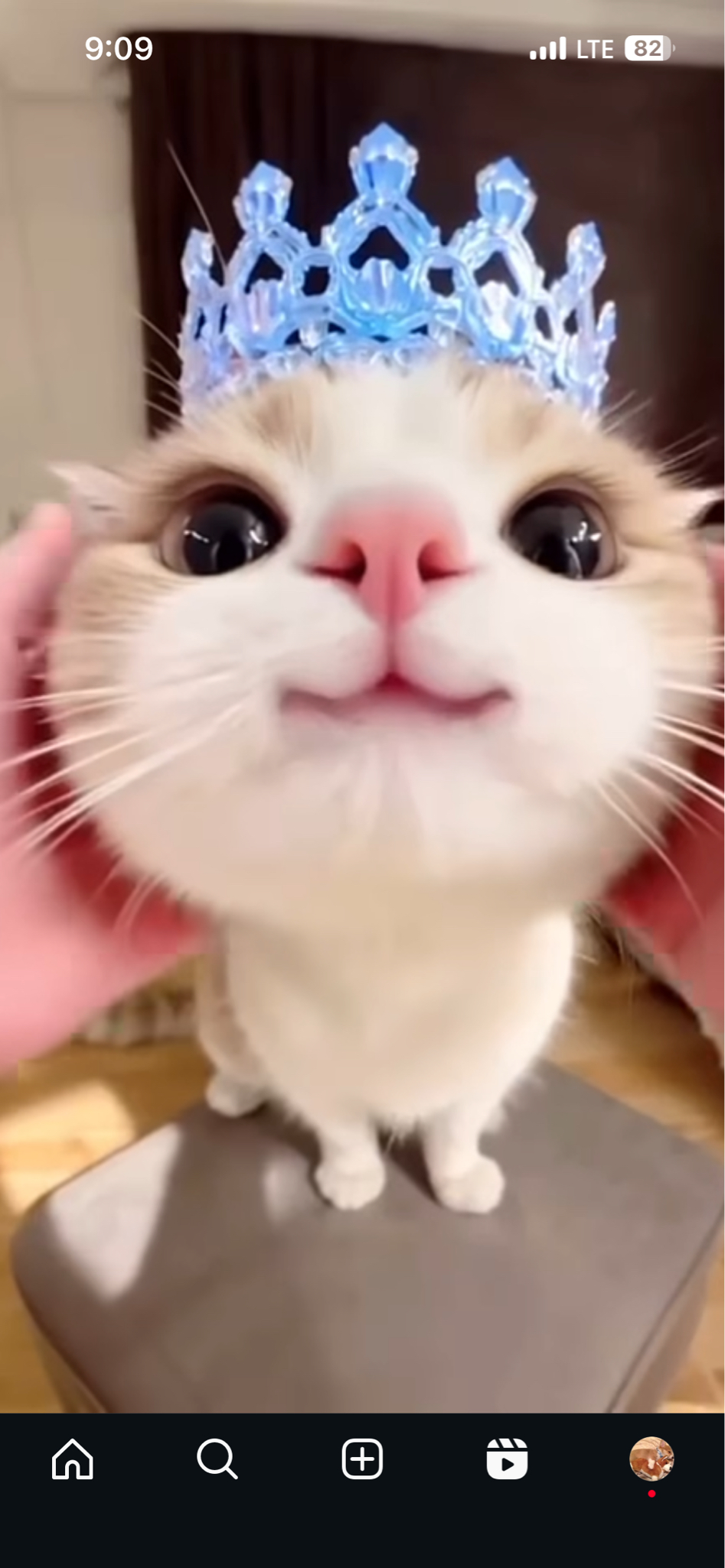 profileImg