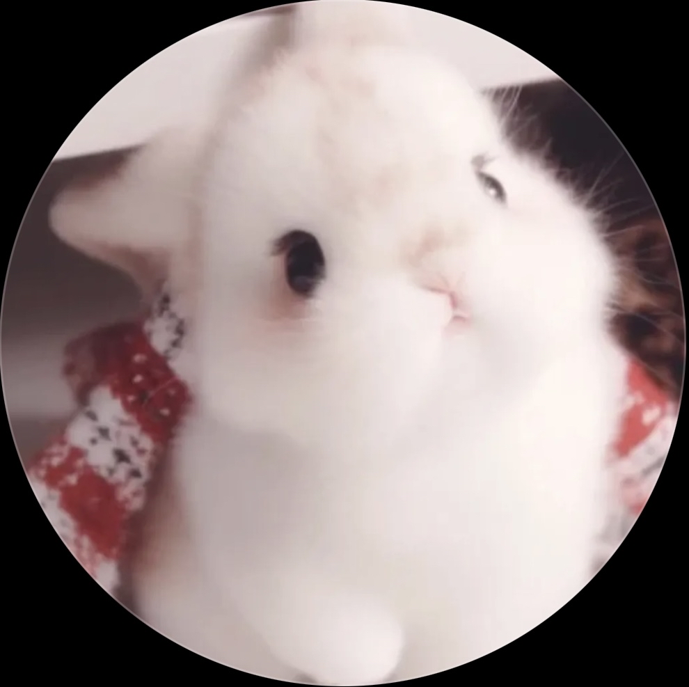 profileImg