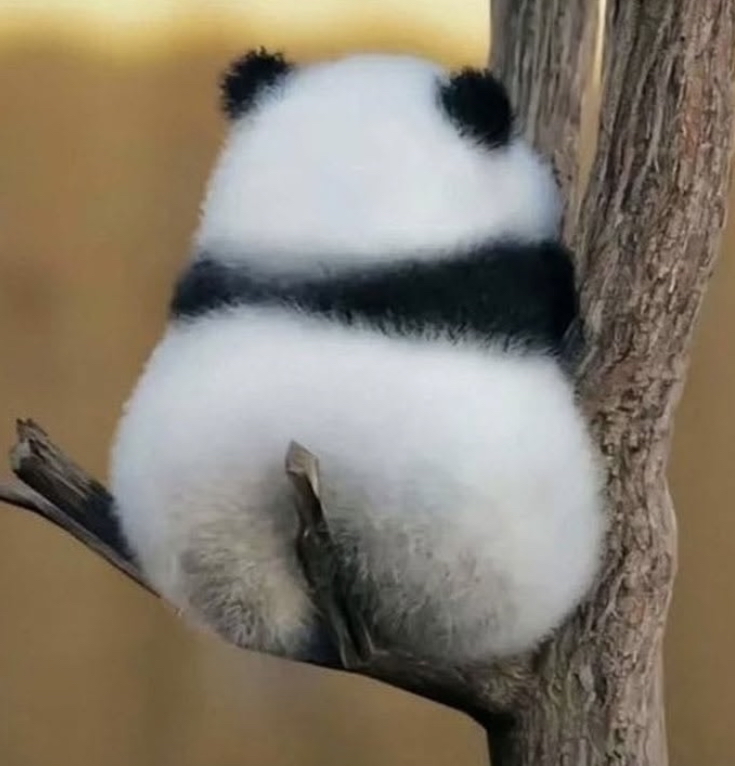 profileImg