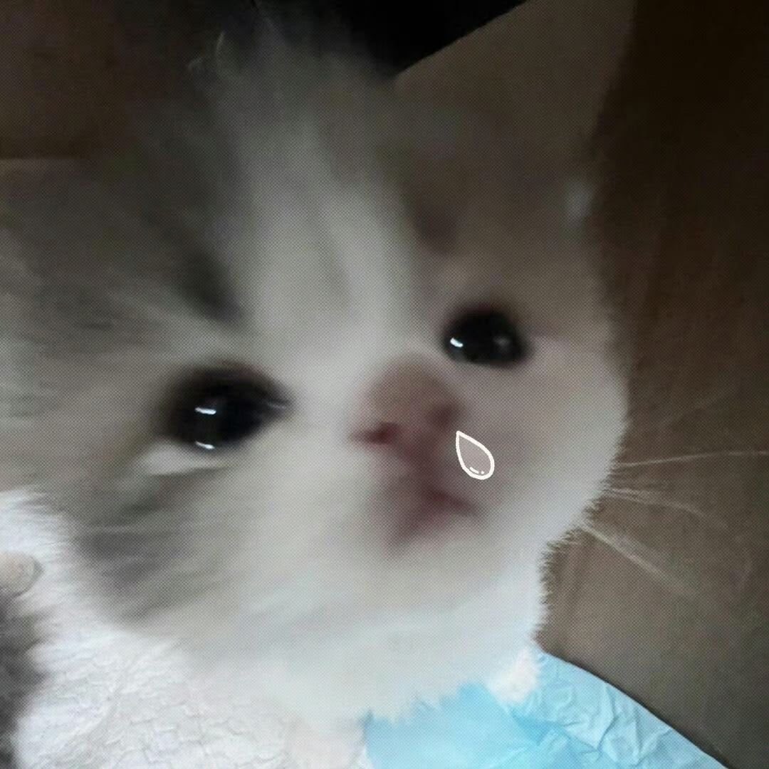 profileImg