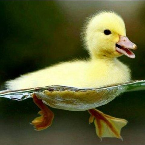 모바일 상품 회원 프로필 이미지